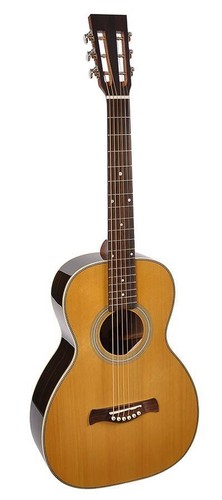 Chitarra va richwood - p-65-va,